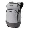 Dakine Heli Pro 20L Rugzak greyscale backpack