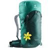 Deuter Speed Lite 30 SL Backpack alpinegreen / forest backpack