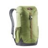 Deuter Walker 16 Daypack pine/graphite backpack
