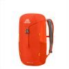 Gregory Nano Backpack 16L burnished orange backpack