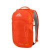 Gregory Nano Backpack 18L burnished orange backpack