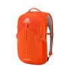 Gregory Nano Backpack 20L burnished orange backpack