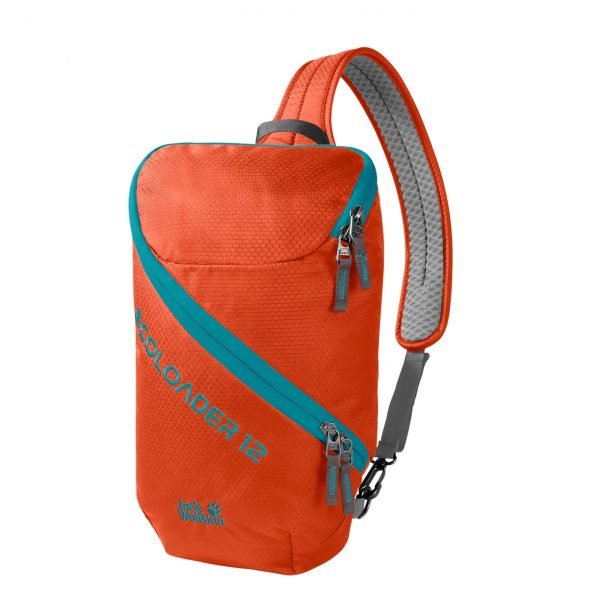 Jack Wolfskin Ecoloader 12 Bag wild brier backpack