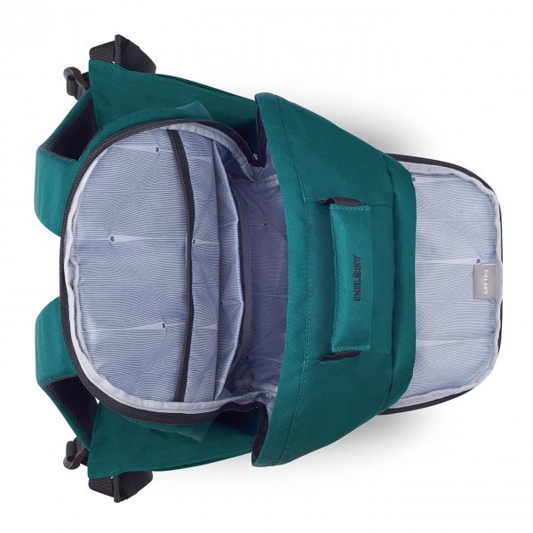 Delsey Securban Rugzak 15.6&apos;&apos; green backpack van Polyester