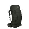Osprey Kestrel 58 Backpack M/L picholine green backpack
