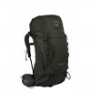Osprey Kestrel 38 Backpack S/M picholine green backpack