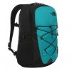 The North Face Jester Backpack fanfare green/tnf black backpack