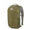 Gregory Nano Backpack 18L fennel green backpack
