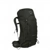 Osprey Kestrel 48 Backpack M/L picholine green backpack