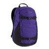 Burton Day Hiker 25L Rugzak prism violet backpack