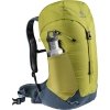 Deuter AC Lite 30 Backpack moss/artic backpack van